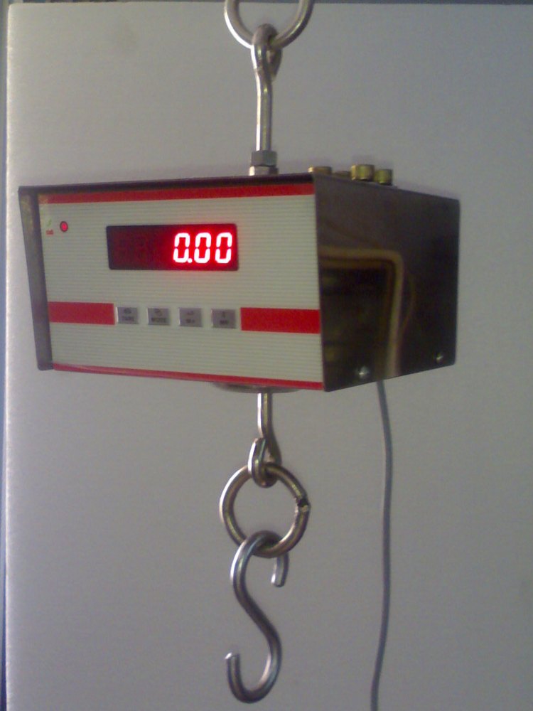 SWISSER Stainless Steel Digital Hanging Weighing Scale, Capacity Tons: 100 Kg, for Industrial