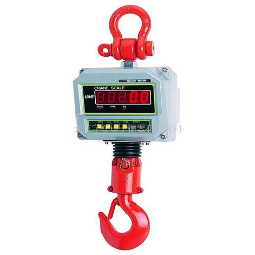 Electronic Crane Scale