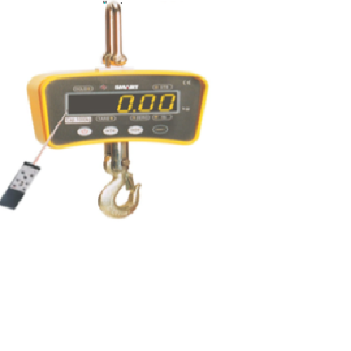 Crane Scales