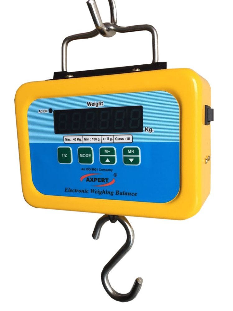Axpert Mild Steel Mini Hanging Scale, For Industrial