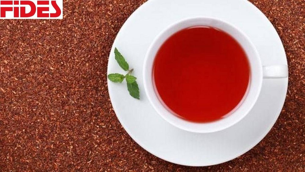 Red Tea (Rooibos)