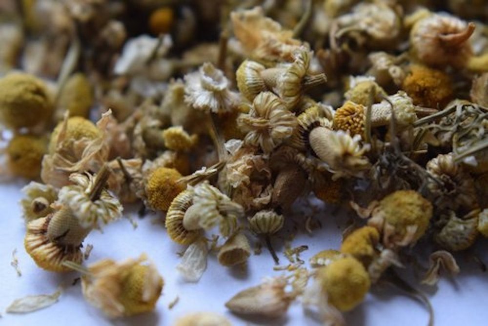 HNCO Organics Coarse Grinding Chamomile TBC - Tea Bag Cut, Packaging Size: 25 KG