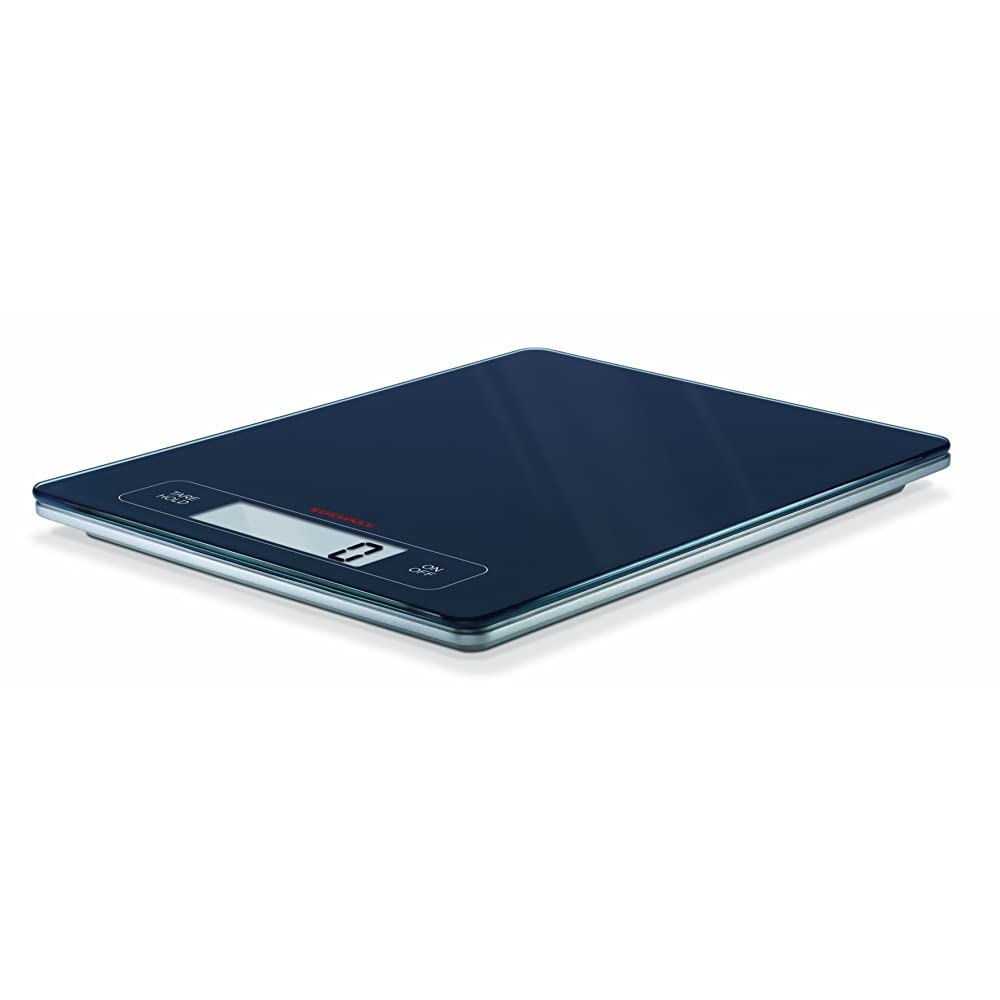Electronic Body Scale