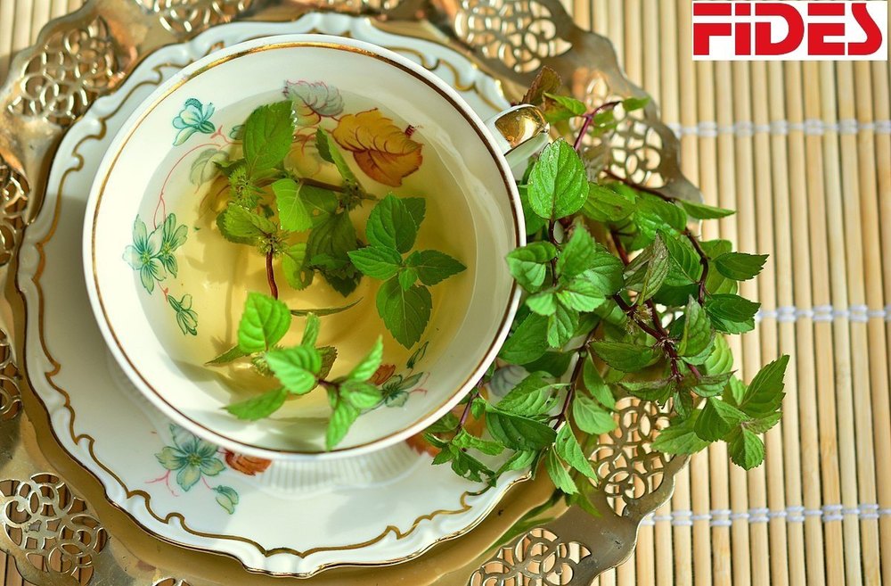Mint Tea, Leaves, Packaging Size: 25 Kilogram