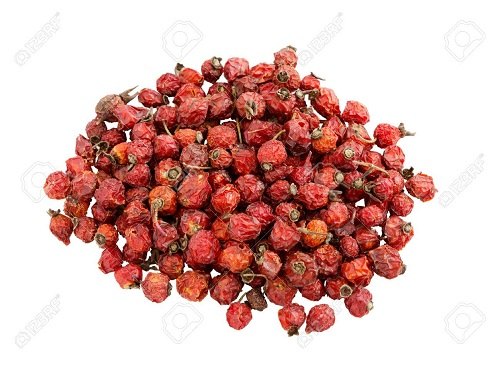 Red Natural Rosehip - Rose Hip Fruits - Rose Fruit