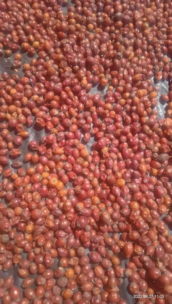 Dried Rose Hip, Packaging Size: 10