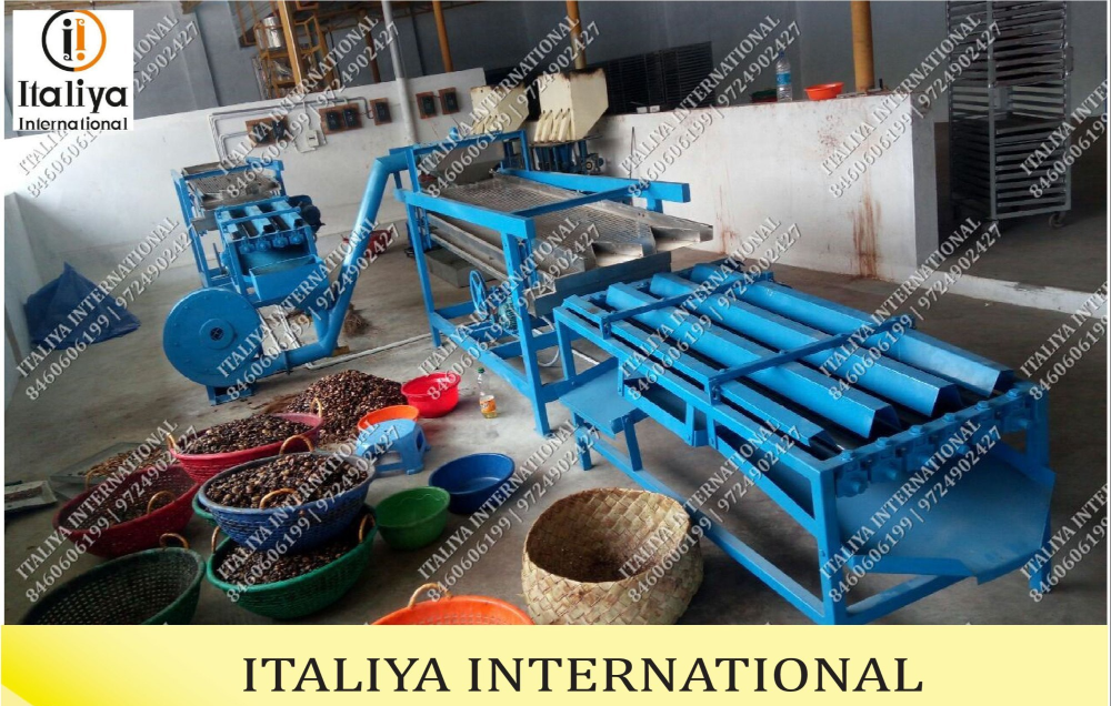 ITALIYA Ms Shell And Kernel Separating System, Capacity: 40 - 100