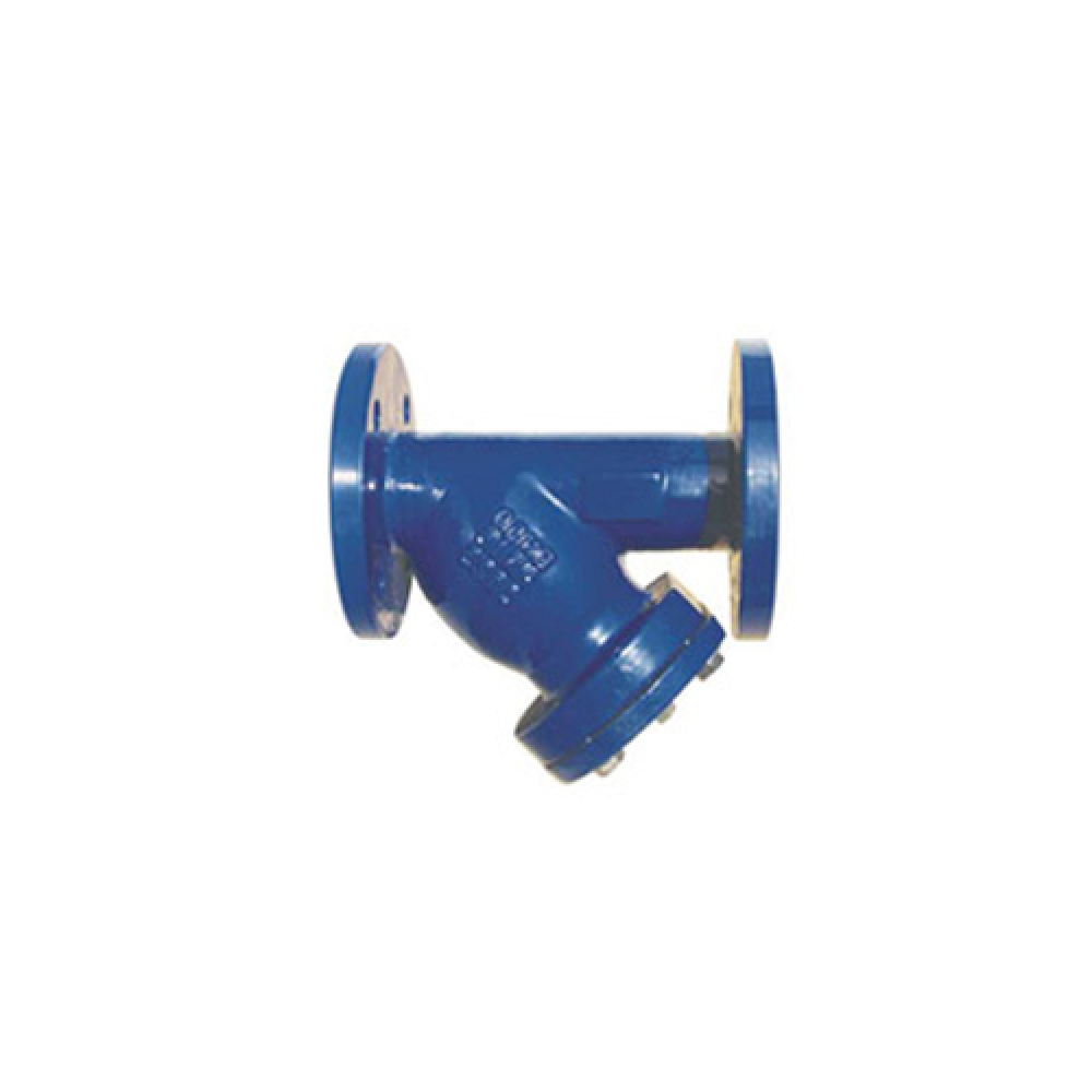 Cast Iron Flanged Y Type Strainer