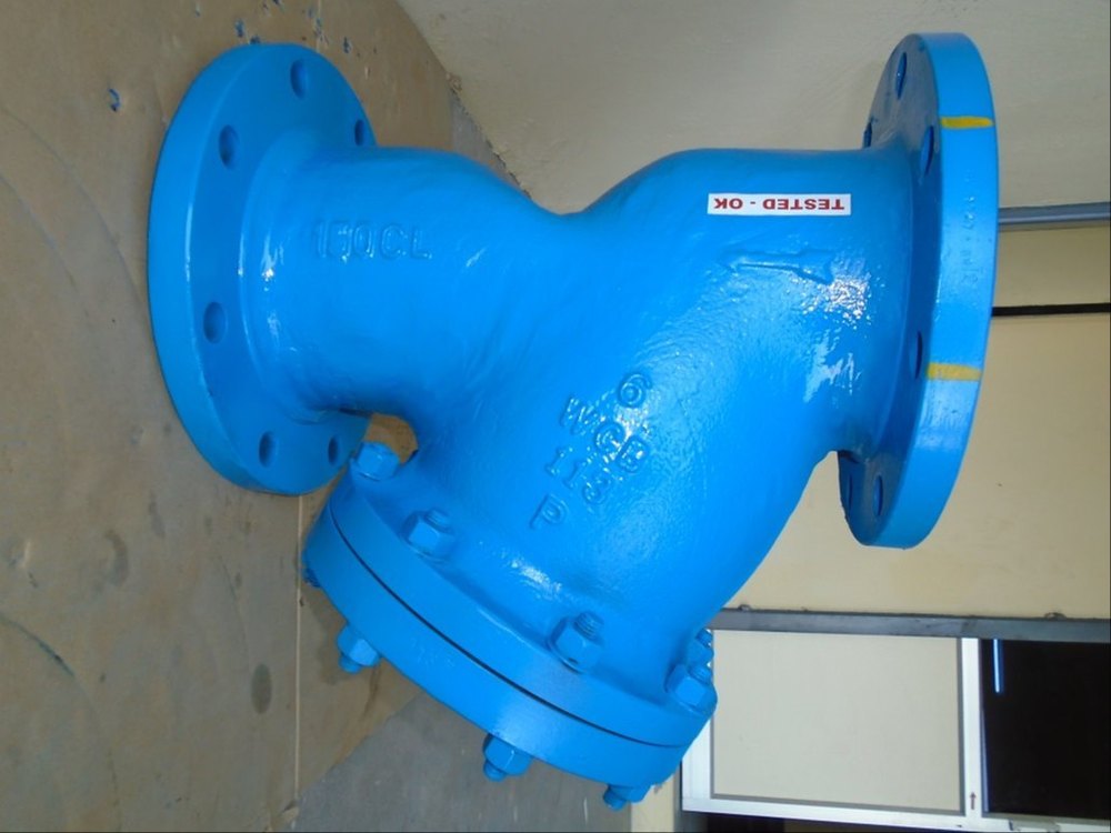 Gas Y Type Strainer - Forged Steel, Model Name/Number: Bk-y-fs