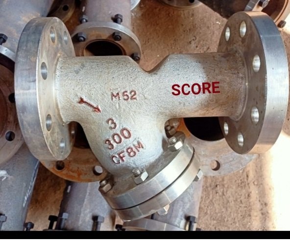 Stainless Steel Y-Strainer