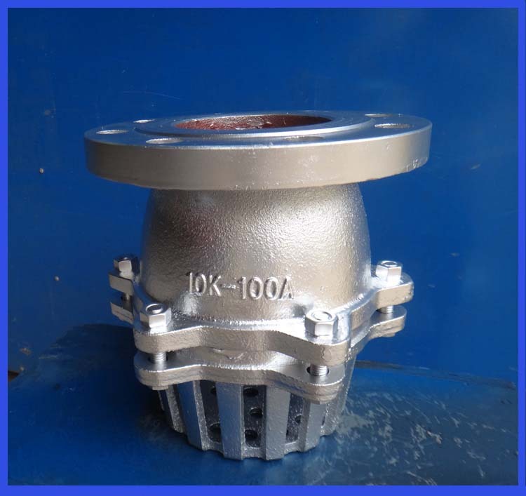 Foot Valve Strainer, Hydraulic Pipe