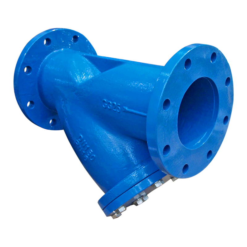 CI SS CS PP Y Strainer