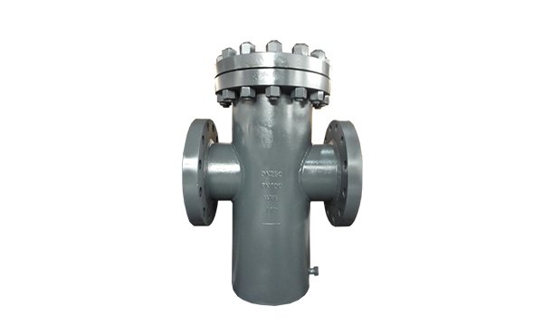 Cast Iron AWWA Basket Strainer