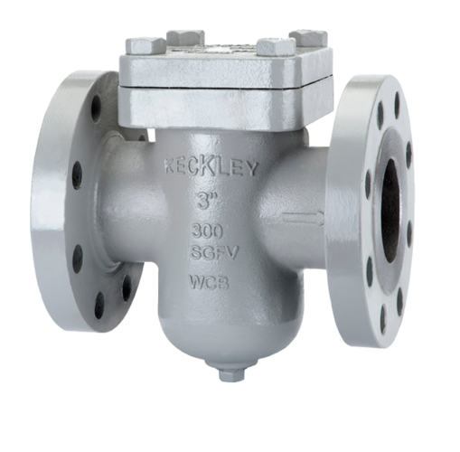 Pipe Strainers, Size: 1/2 inch