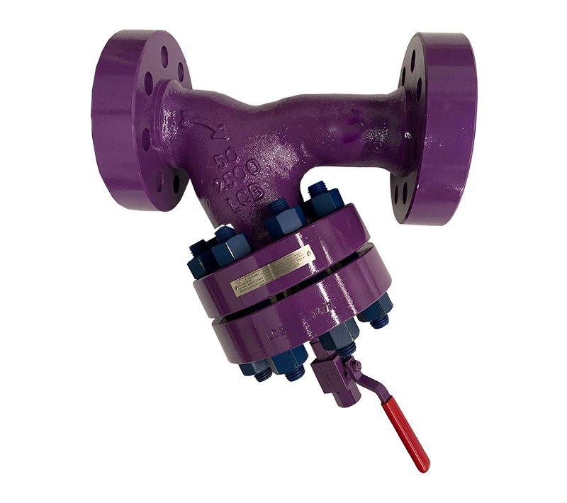 Y Type Strainer