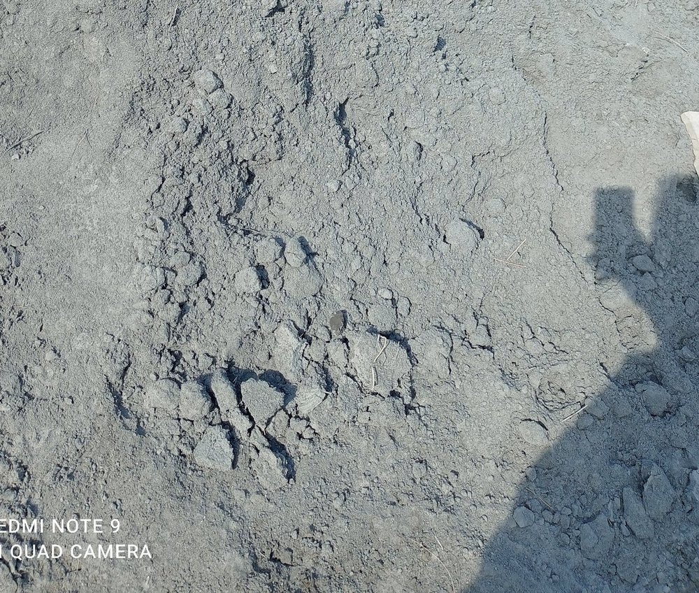 Dry Fly Ash, Packaging Size: Open