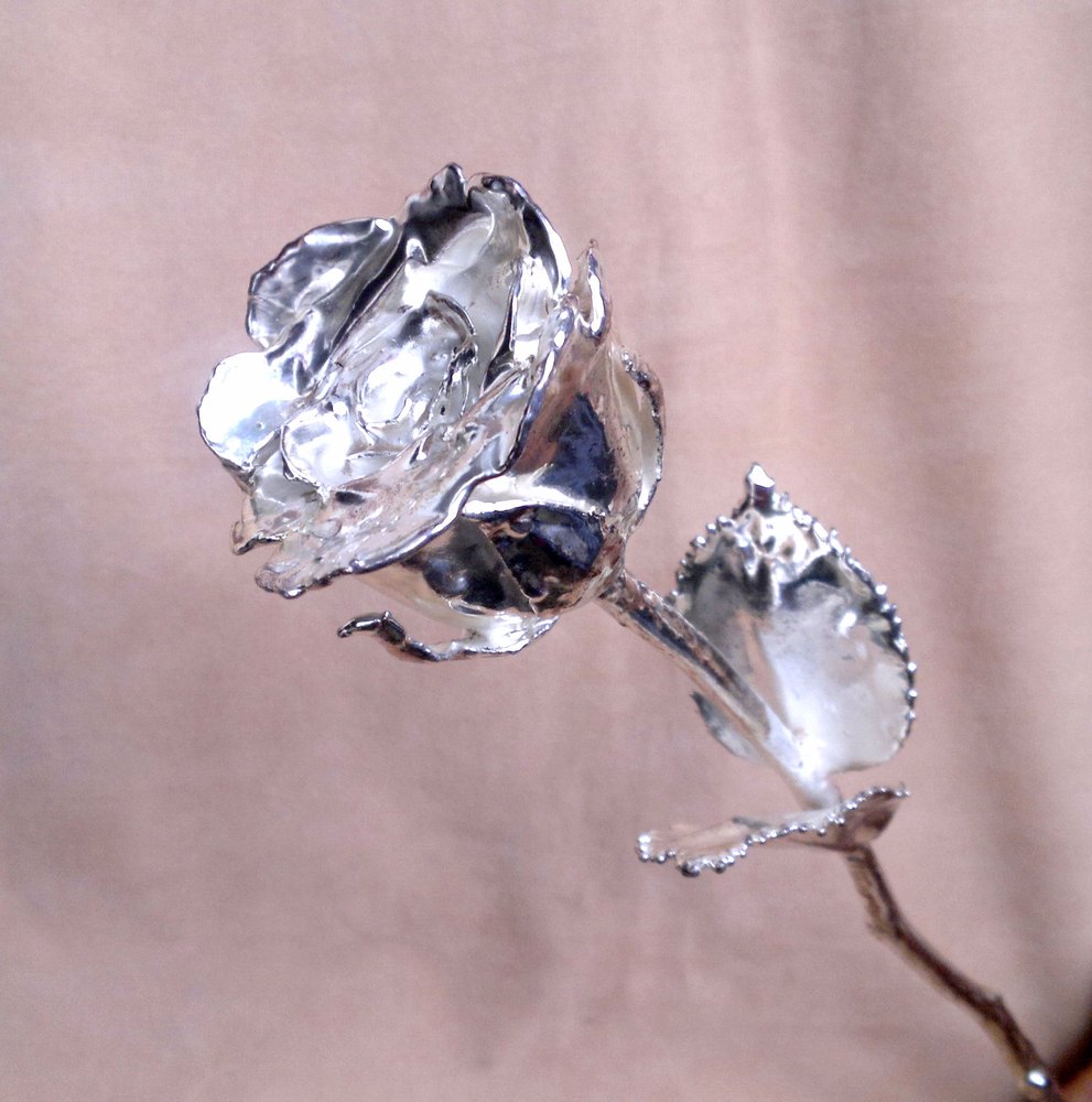 Silver Plated Natural Real Rose