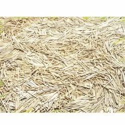 None Wooden Matches Spilints, Size: 39mm and 40mm