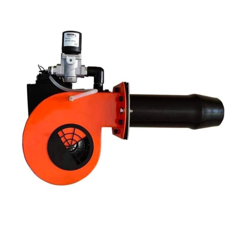 Riello Gas Burner Fs 20