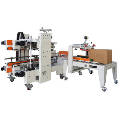 Automatic 220 Carton Packing Machine