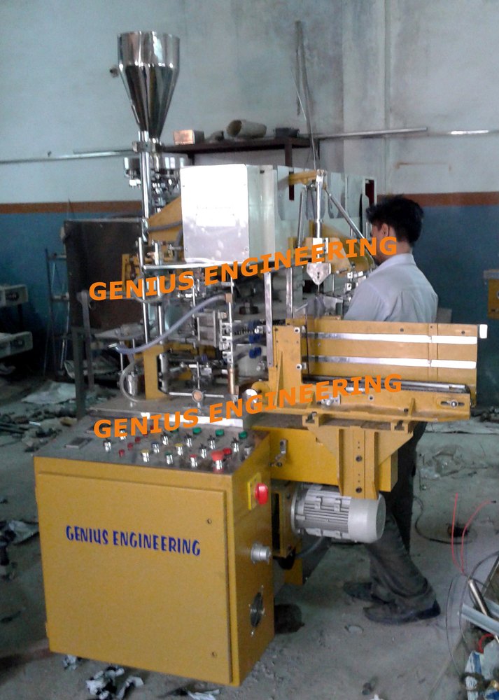 Lined Carton Packing Machine With Servo