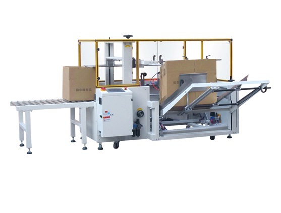Ms Automatic Carton Making Machine