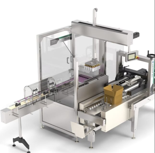 Automatic Case Packer Machine, Capacity: 20 Box Per Minute