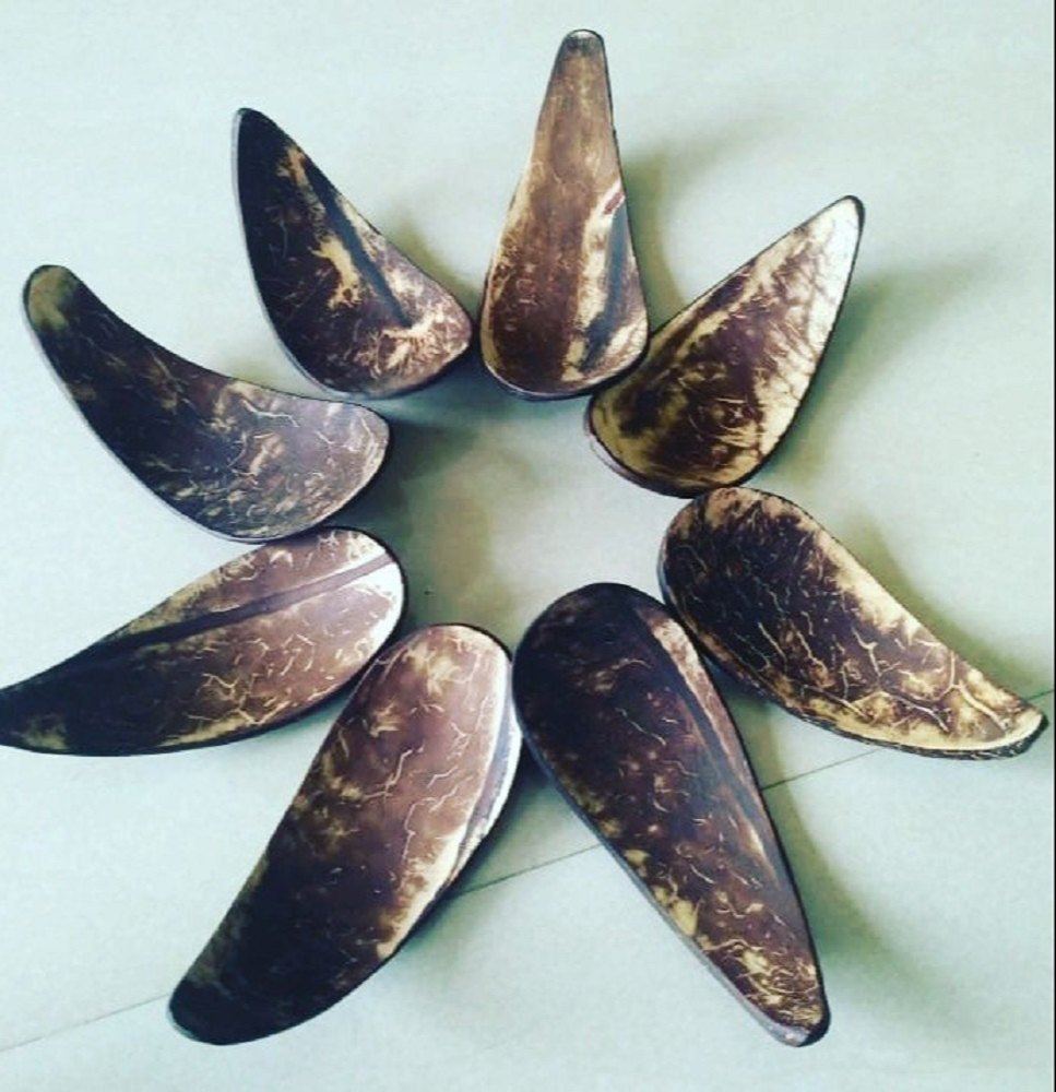 Brown Coconut Shell Spoons