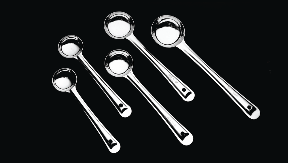 SS Serving Regular Ladle
