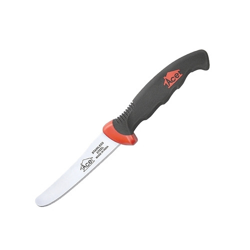 Fruit Knife