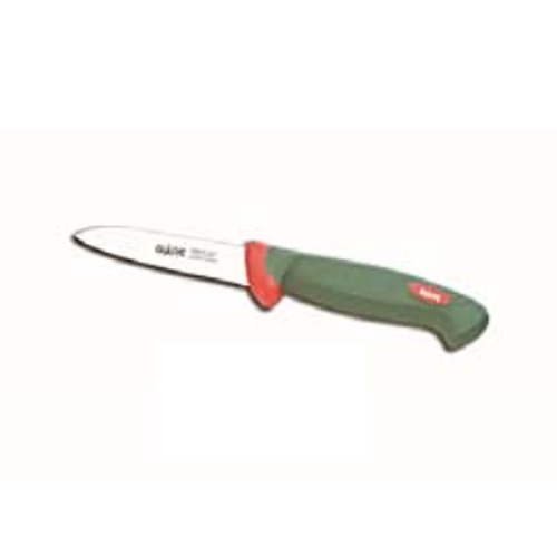 Fruit Knife