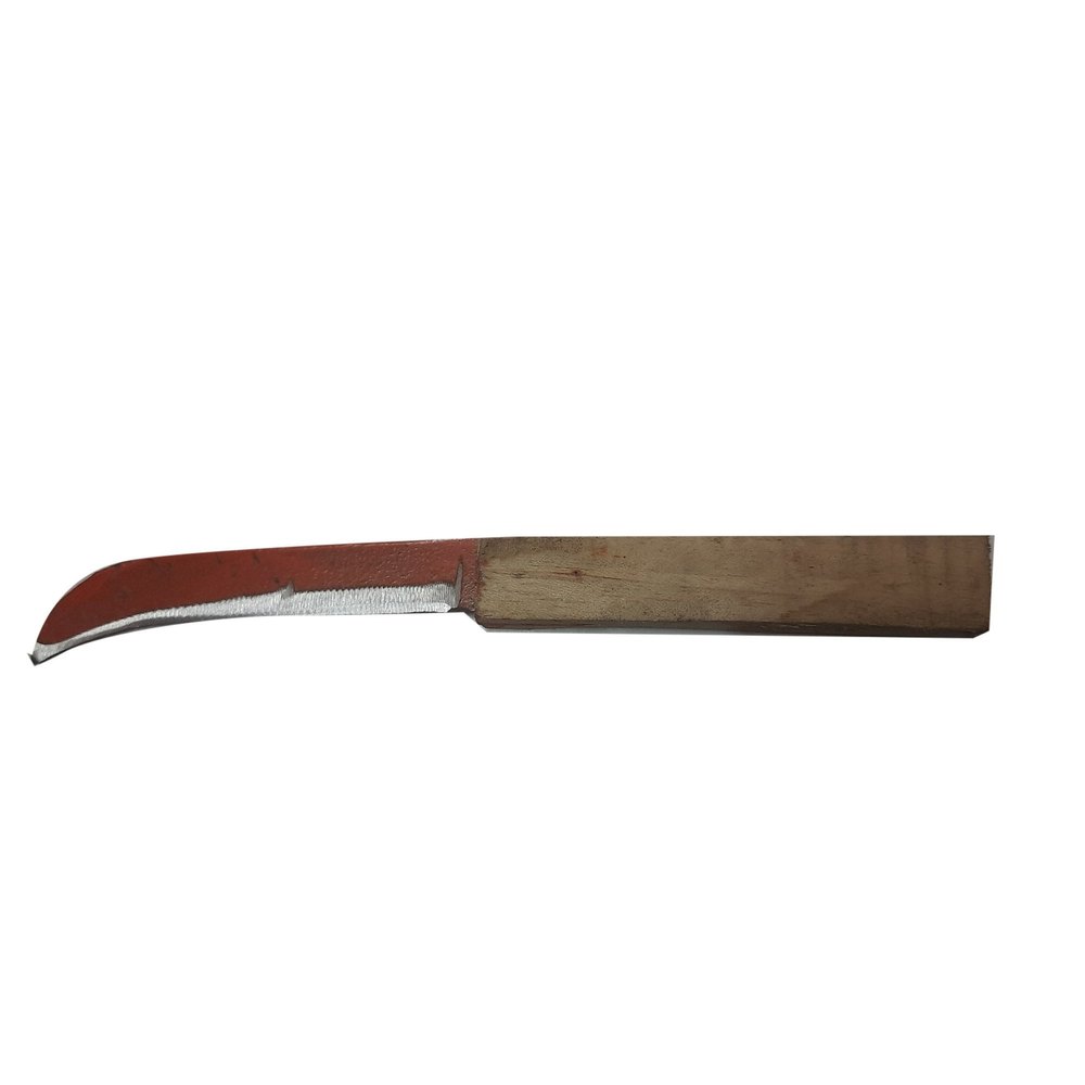 Sparoxing Stainless Steel Fruit Knife, For Kitchen