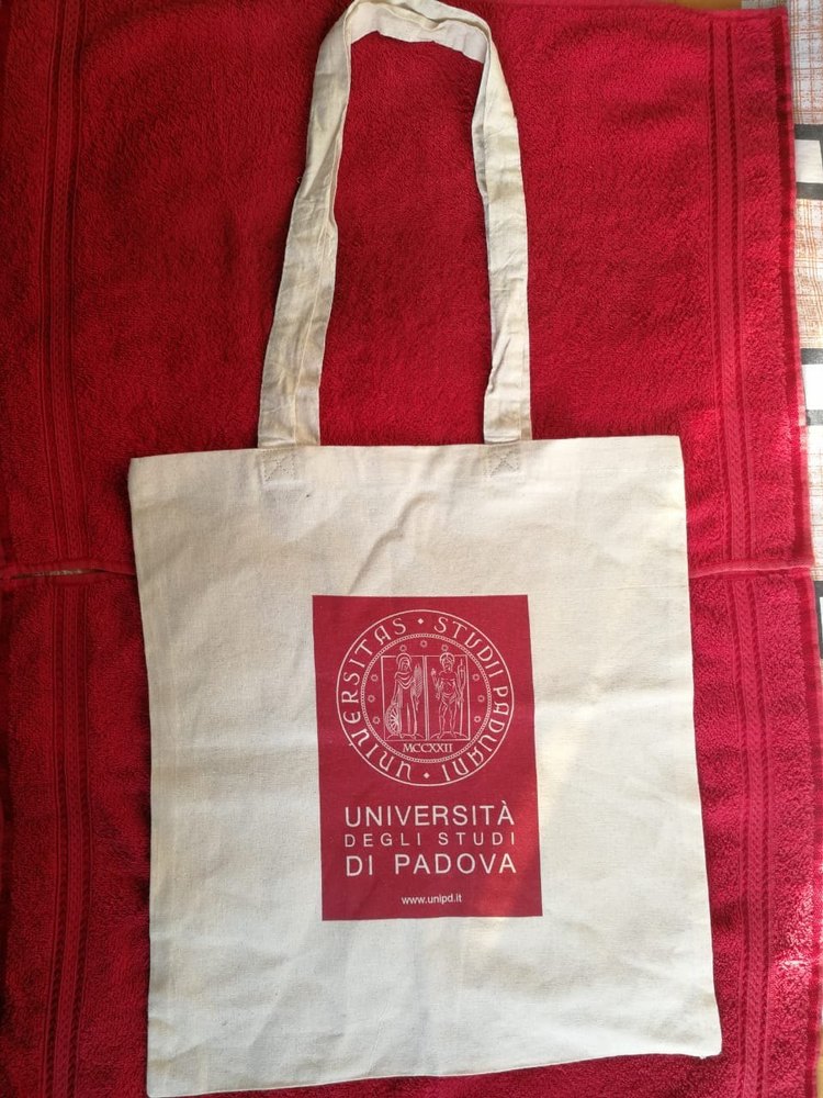 Artkeval Handled Cotton Tote Bags, Capacity: 20 kg, Size/Dimension: 20 OZ