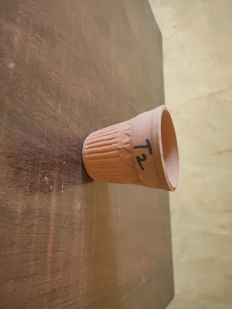 Brown Clay Tea cup, Packaging Type: Box, Capacity: 50ml To 110ml