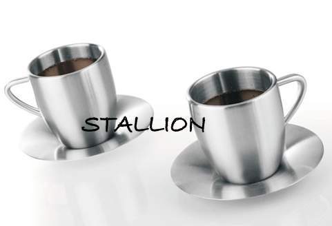 Stainless Steel Mug Set