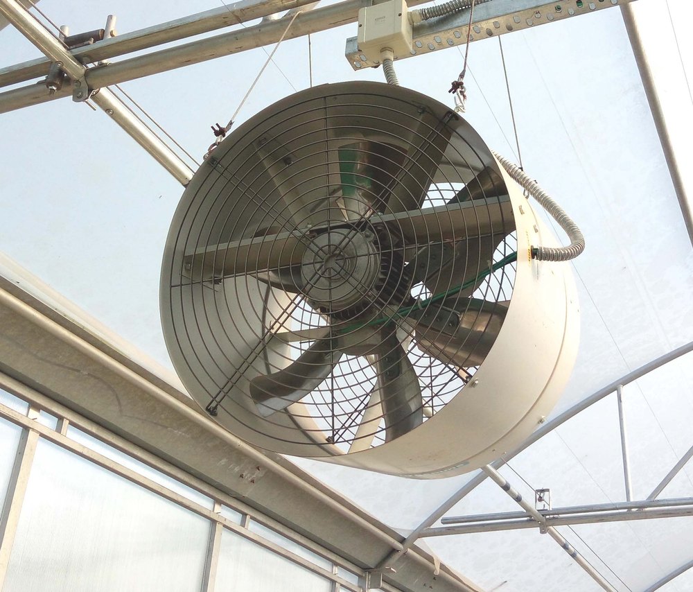 220 V Electric Greenhouse Circulating Fan, Impeller Size: 18