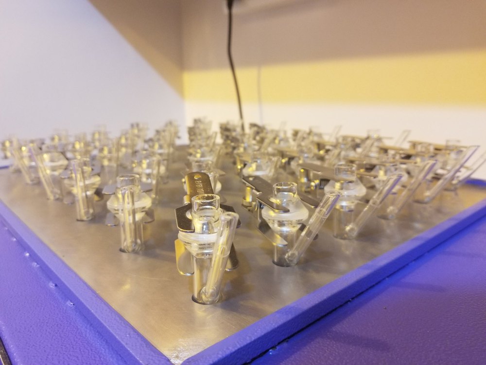 In Vitro Permeation Studies