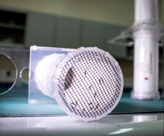 Portable Who-adult Susceptibility Test Kit LI-BA-01, Packaging Type: Plastic Box