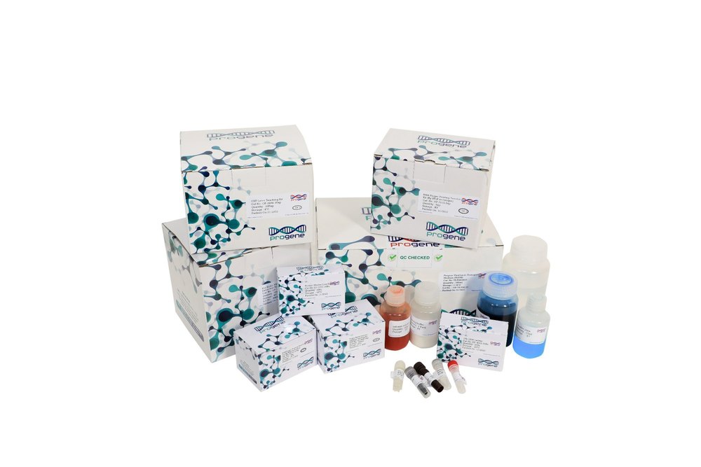 Bacterial Cell Lysis Reagent Kit