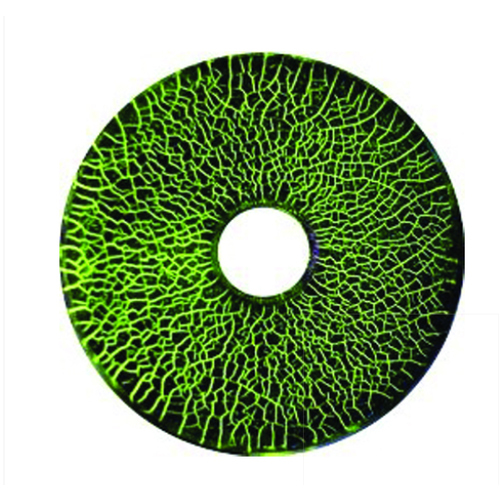 Green MTU Ring