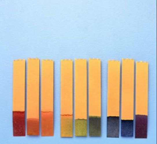 Creative Technology PH Indicator, For Laboratory