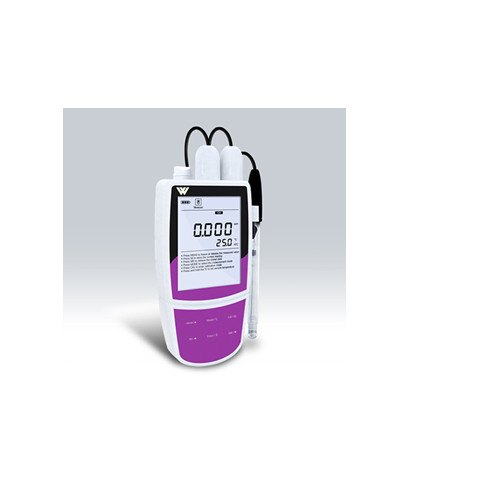 R Ion Specific Meters