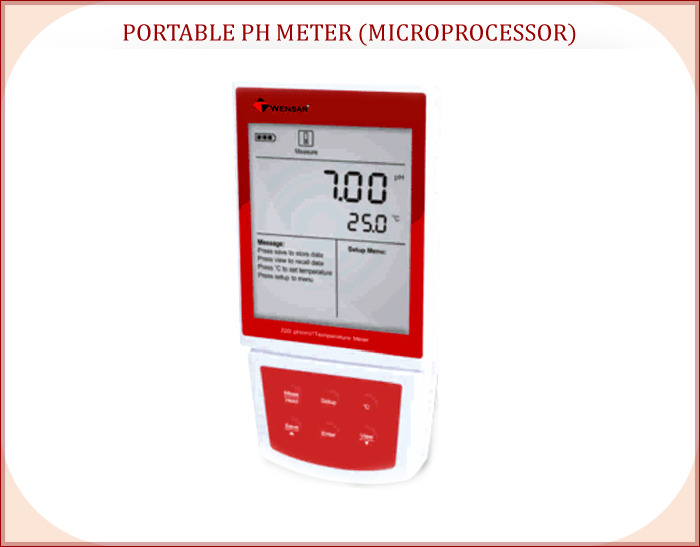Portable pH Meter