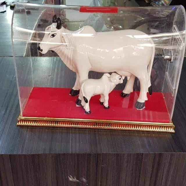 For Mandir Acrylic Donation Box