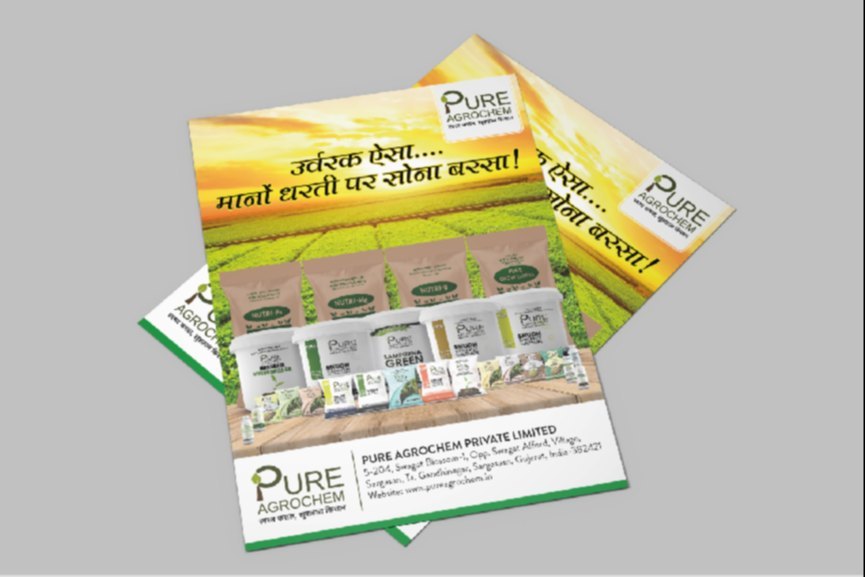 Brochure Flyer Graphic Design Services