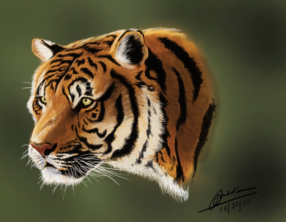 Adobe Photoshop