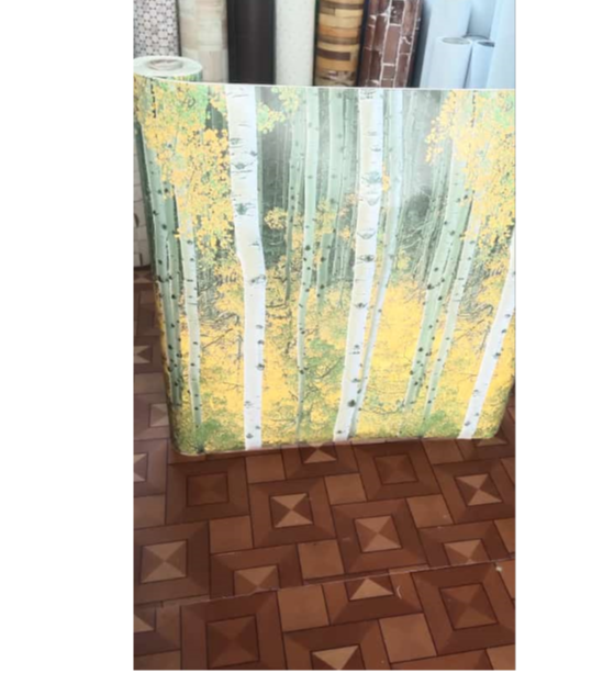 PVC Vinyl Design Wall Graphic