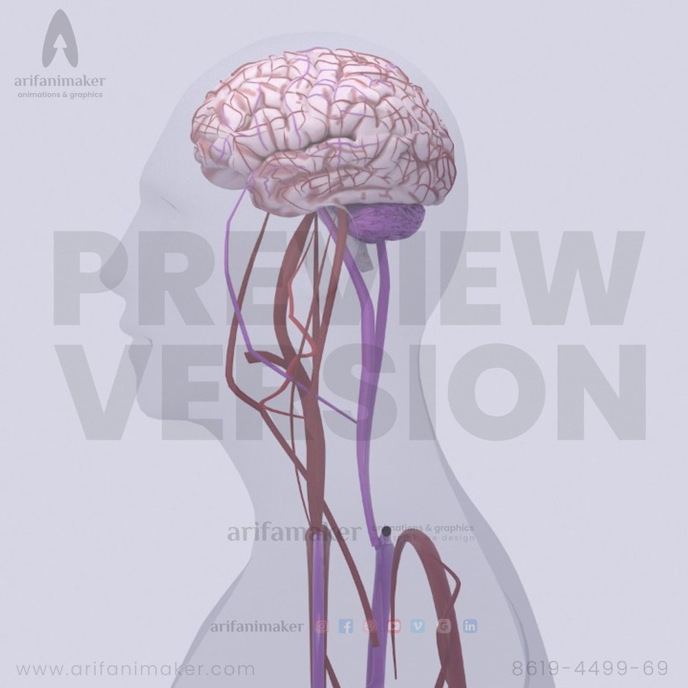 3D Medical Animation Services