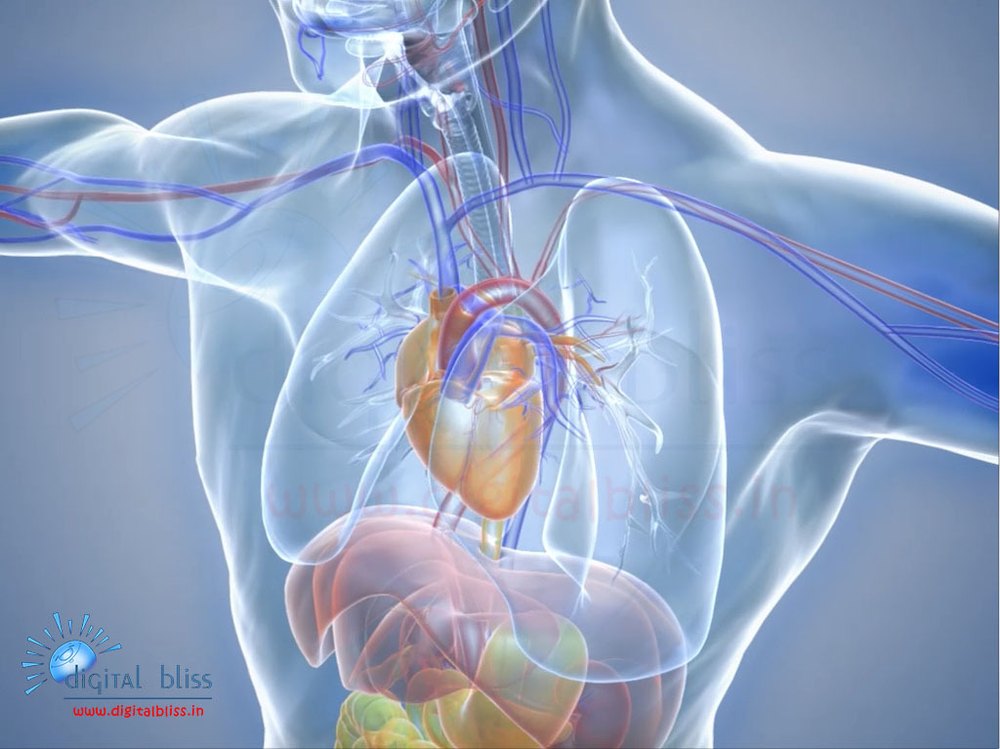 Medical Animation Films