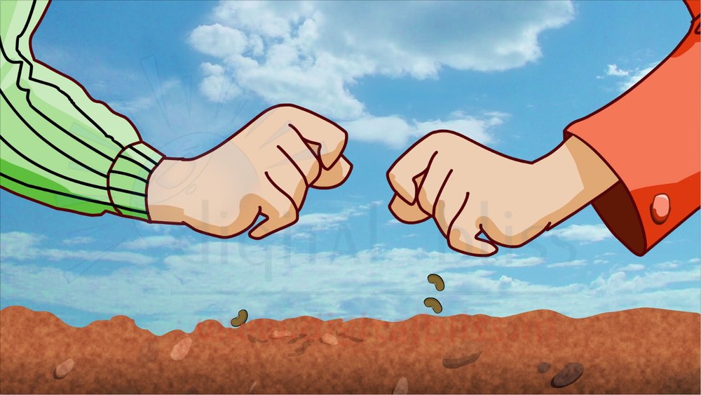 Flash Animation